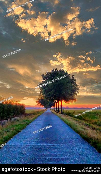 A path wit grass and trees under a very dramatic sunset sky. High quality photo