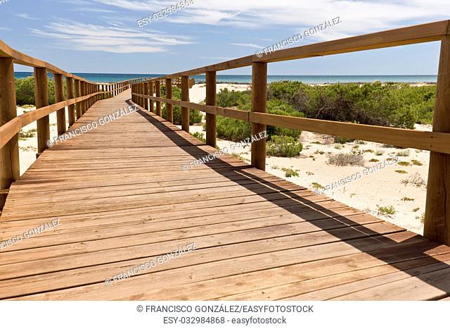 wooden walkway arenales del sol in Elche, Spain