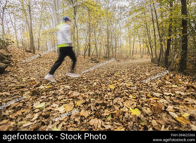 A jogger, photographed in Grunewald in Berlin, November 16, 2022. - Berlin/Deutschland