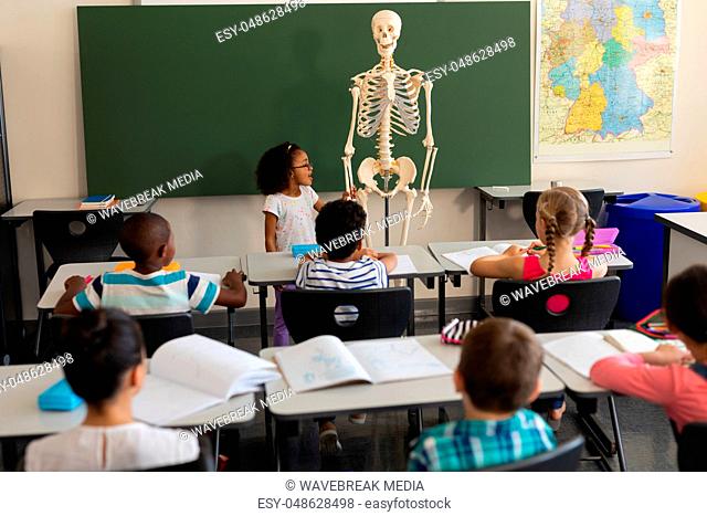 Rear view of little schoolgirl explaining human skeleton model in classroom