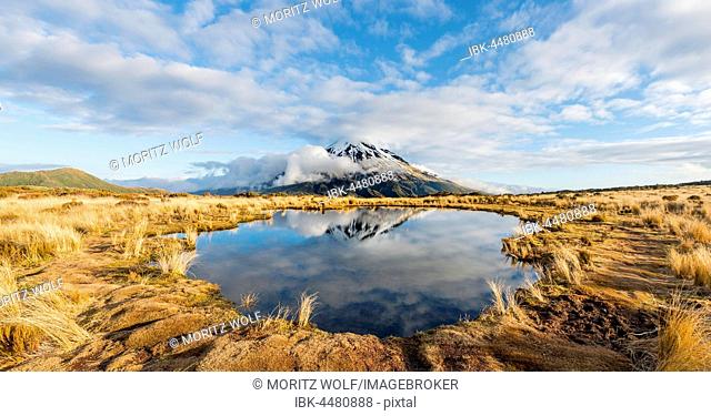Reflection in Pouakai Tarn, stratovolcano Mount Taranaki or Mount Egmont, cloudy sky, Egmont National Park, Taranaki, New Zealand