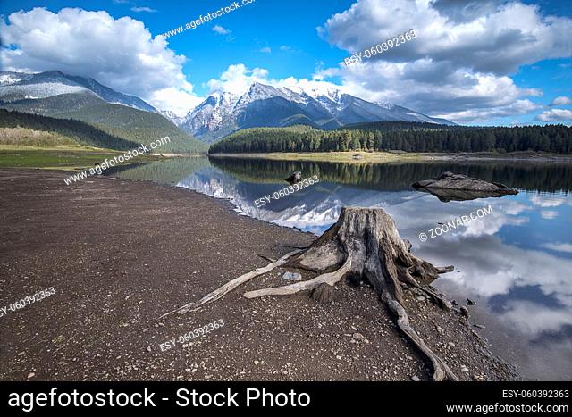 A stump sits in the foreground at Mission reservoir and high peak snow covered mountains near St. Ignatius, Montana