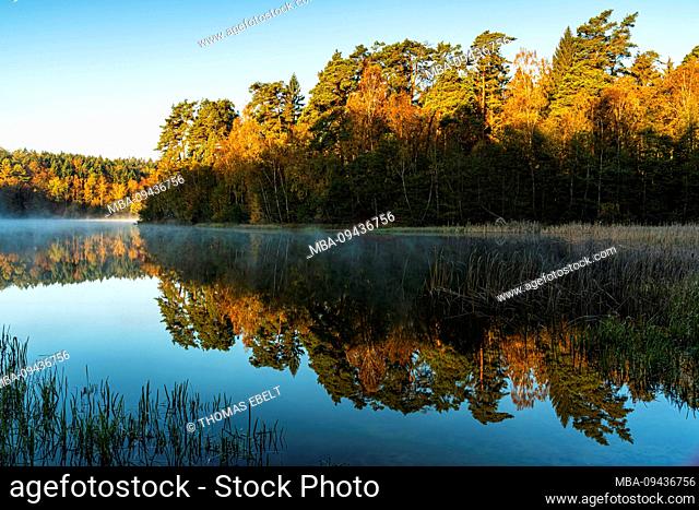 Pinnsee, Lauenburg Lakes Nature Park