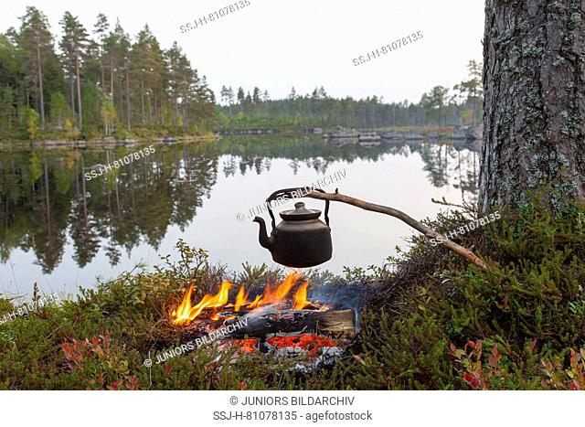 Tin kettle on the camp fire. Vaermland, Sweden