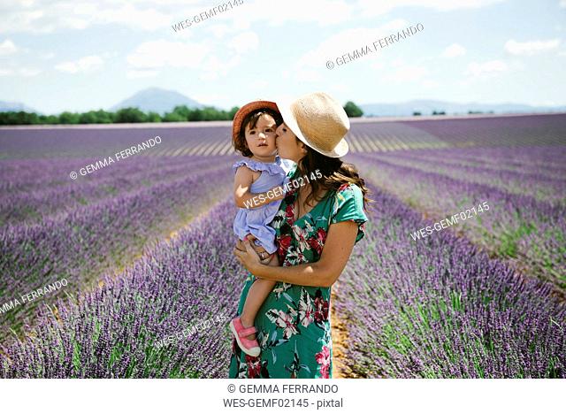 France, Provence, Valensole plateau, Mother kissing daughter in lavender fields in the summer