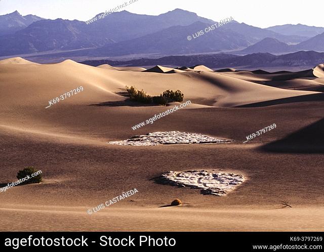 Sand Dunes. Death Valley. USA