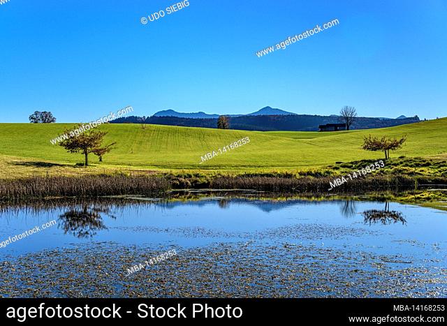 germany, bavaria, upper bavaria, pfaffenwinkel, habach, pond at the fuchsgrube against the foothills of the alps with herzogstand and heimgarten
