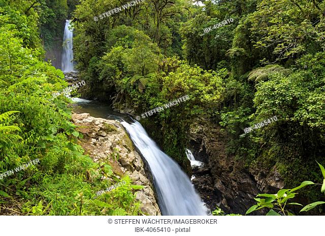 Waterfalls in the rainforest, Vara Blanca, Alajuela province, Costa Rica