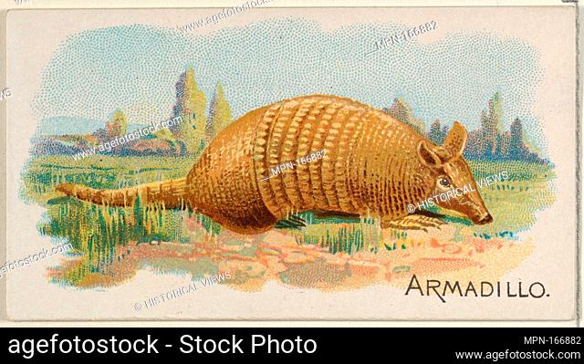 Armadillo, from the Quadrupeds series (N21) for Allen & Ginter Cigarettes. Publisher: Allen & Ginter (American, Richmond, Virginia); Lithographer: Lindner