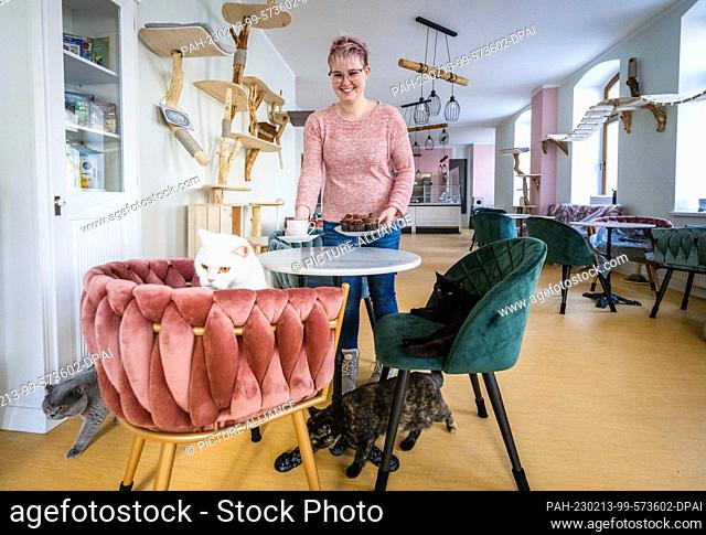 PRODUCTION - 09 February 2023, Saxony, Chemnitz: Surrounded by cats, Franziska Müller stands in the cat lounge ""Ciao Mau"" in Chemnitz