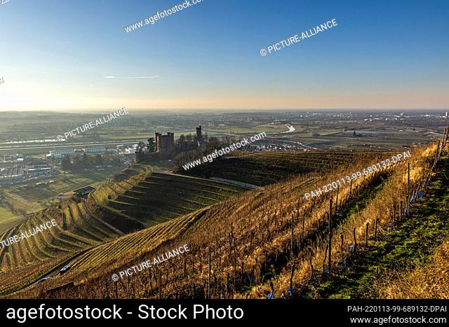 12 January 2022, Baden-Wuerttemberg, Ortenberg: Ortenberg Castle stands amidst vines while the city of Offenburg and the Ortenau region can be seen in the...