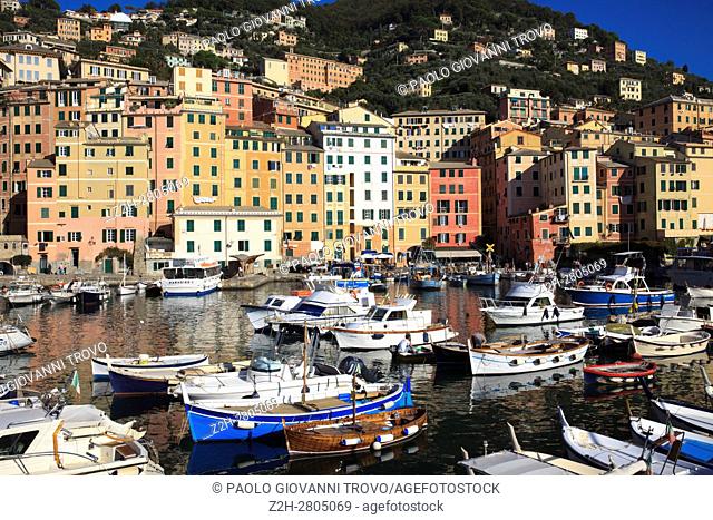 The fishing village of Camogli, Gulf of Paradise, Portofino National Park, Genova, Liguria, Italy
