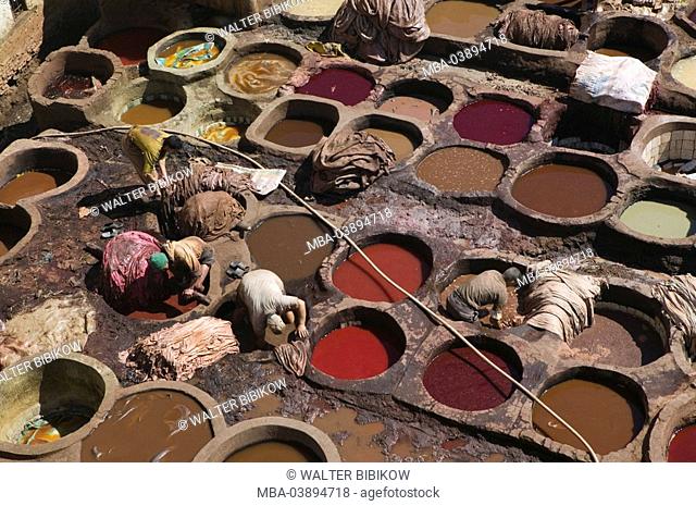 Morocco, Fes, Fes El Bali, tannery, color-basins, men, top view, , city, district, Old Town, basins craft, colors, colors, leather, leather-processing, workers