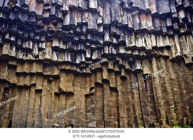Basaltic columns at Svartifoss, Iceland