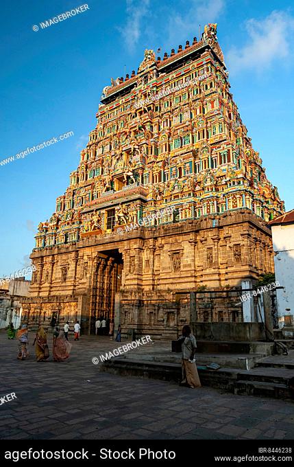 East gopuram tower in Thillai Nataraja temple, Chidambaram, Tamil Nadu, South India, India, Asia