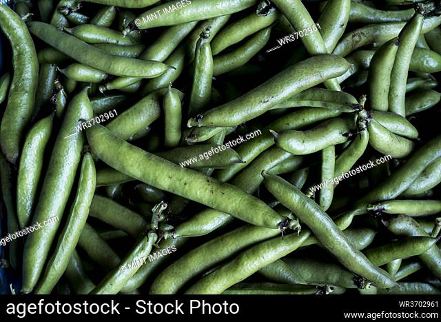 High angle close up of freshly picked green beans