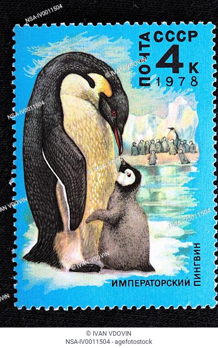 Emperor Penguin Aptenodytes forsteri, postage stamp, USSR, 1978