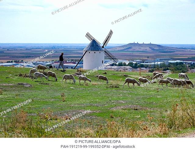23 September 2019, Spain, Campo De Criptana: A shepherd leads his flock of sheep past the windmills on a meadow at the edge of Campo de Criptana