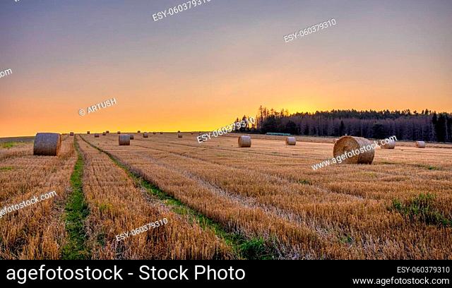 sunset over Straw bales stacked in a field at summer time, Vysocina Czech Republic