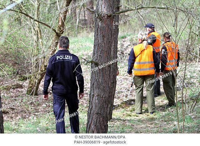 Officers of a canine squad of the Berlin police search for the missing head of a corpse in a forest in Treuenbrietzen, Germany, 24 April 2013