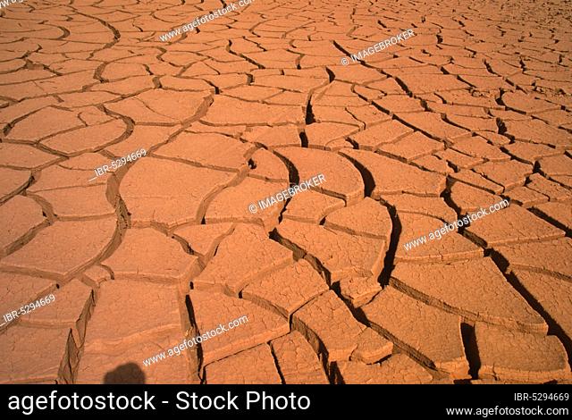 Dried-out earth, Dried-out he, -desert, sert, Salar de Atacama, Chile, South America