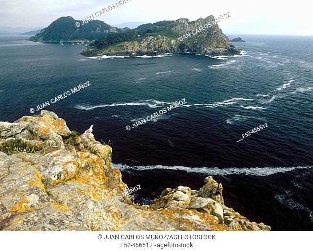 San Martiño Island. Islas Atlánticas National Park. Islas Cíes. Pontevedra province. Spain