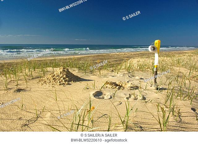Bush toilet on the beach, Australia, Queensland, Fraser Island World Heritage Area, Great Sandy National Park
