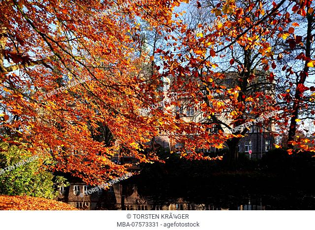 Autumn mood, Palace Gardens, Amtsgericht Building, City of Oldenburg in the District of Oldenburg, Lower Saxony, Germany