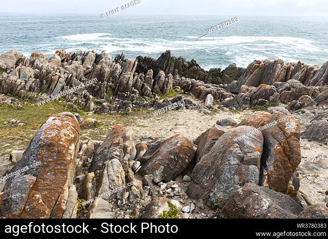 Jagged rocks and the rocky coastline of the Atlantic, vertical rock strata, geological formations