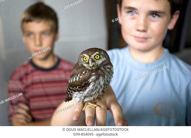 Two boys hold an owl at the Reps Theatre in Harare, Zimbabwe. The bird appeared to be slightly injured