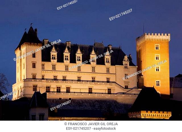 Pau castle, Pyrenees Atlantiques, Aquitaine, France