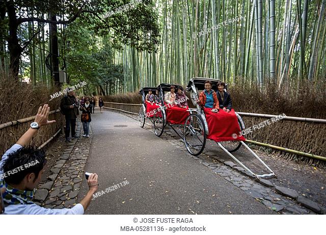 Japan, Kyoto City, near Tenryu-ji, bambu wood