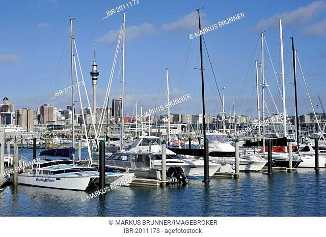 Sailboats in the Westhaven Marina, skyline and Skytower at back, Auckland, New Zealand, PublicGround