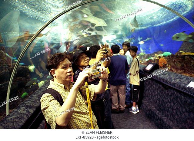 Visitor, Underwater World Aquarium, Sentosa Island, Singapore