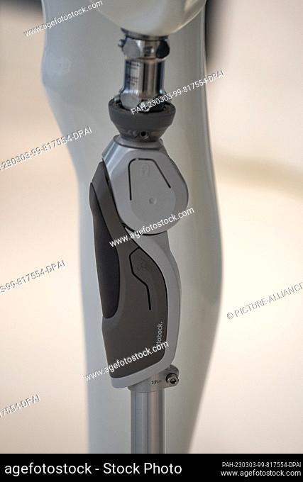 02 March 2023, Lower Saxony, Duderstadt: A mechanical knee prosthesis joint is on display in the showroom at the company headquarters of orthopedic technology...