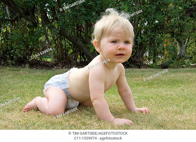 young baby girl with blonde hair age 9 nine months crawling on grass