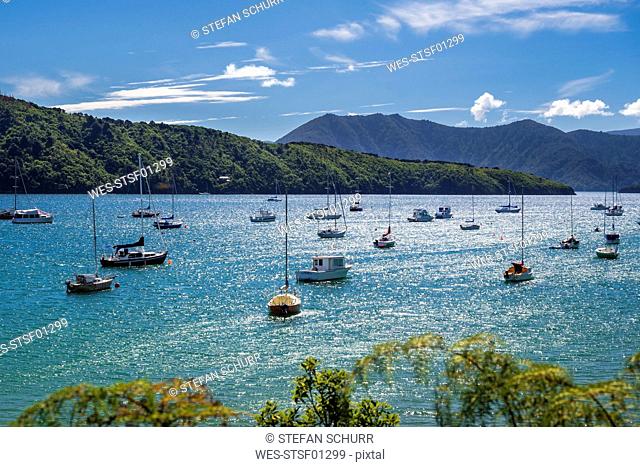 New Zealand, South Island, Picton, Waikana Bay, sailboats floating on water