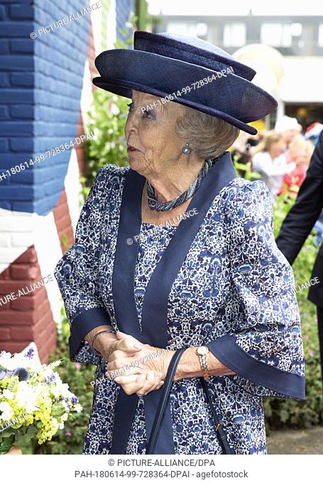 Princess Beatrix of The Netherlands arrives at the Koetshuis in Biddinghuizen on June 14, 2018, to attend the 100th anniversary of the Zuiderzee Act