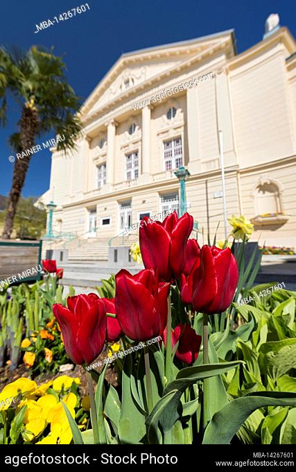 Flowers in front of the municipal theater, Baden bei Wien, Lower Austria, Austria