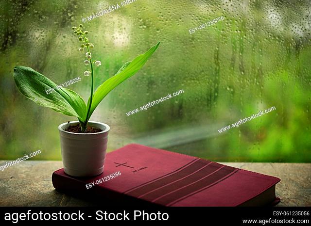 Rainy Spring with Lily Of The Valley on Bible