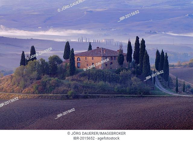 A farm house in Tuscany surrounded by olive trees and cypress trees illuminated by the first light of the day, Italy, Europe