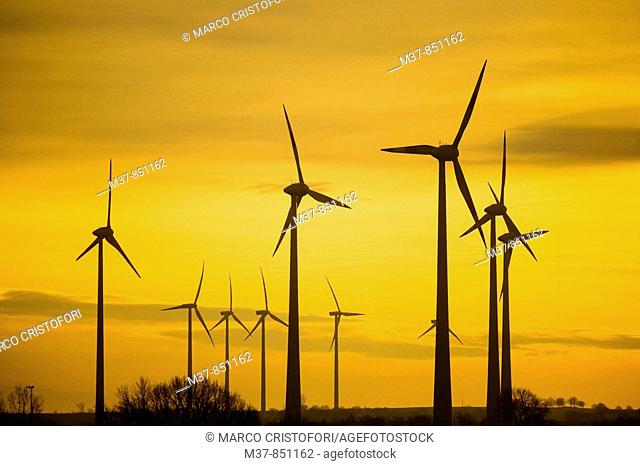 Wind farm near Amsterdam, The Netherlands
