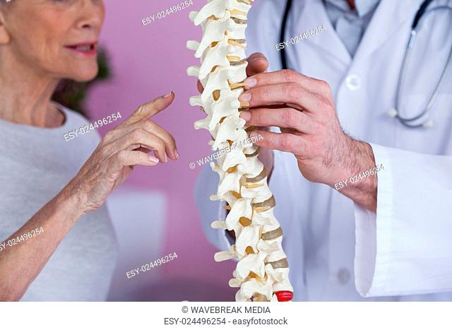 Mid section of physiotherapist explaining the spine model to patient