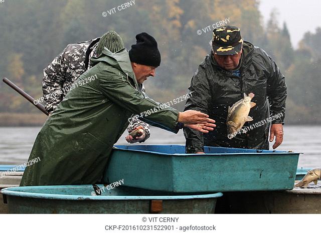 Fishermen of Pihel fish out the Pivovarsky pond in Pihel, nera Ceska Lipa, Czech Republic, on October 22, 2016. (CTK Photo/Vit Cerny)