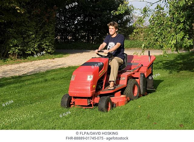 Using a ride on petrol driven tractor mower to cut garden lawn with grass collecting box