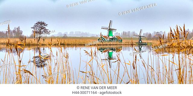 Windmill called De Jonge Dirk and its drainage mill, Westzaan, Noord-Holland, , Netherlands