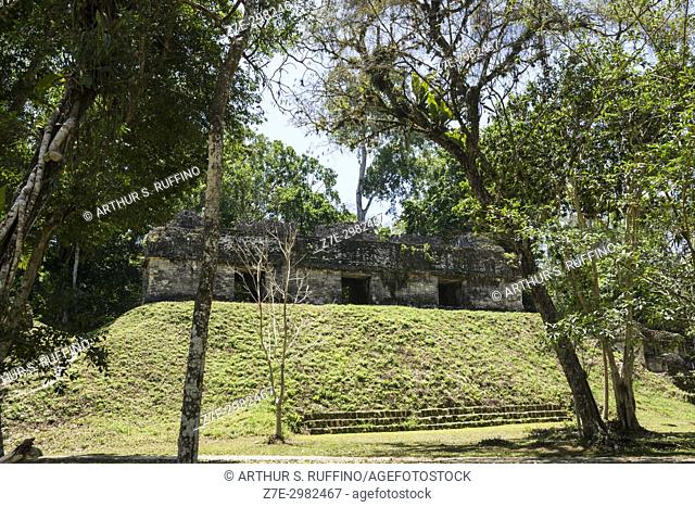 Plaza of the Seven Temples, Mundo Perdido (Lost World) Complex, Tikal, Guatemala, Central America