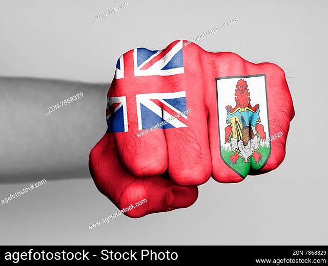 Very hairy knuckles from the fist of a man punching, flag of Bermuda