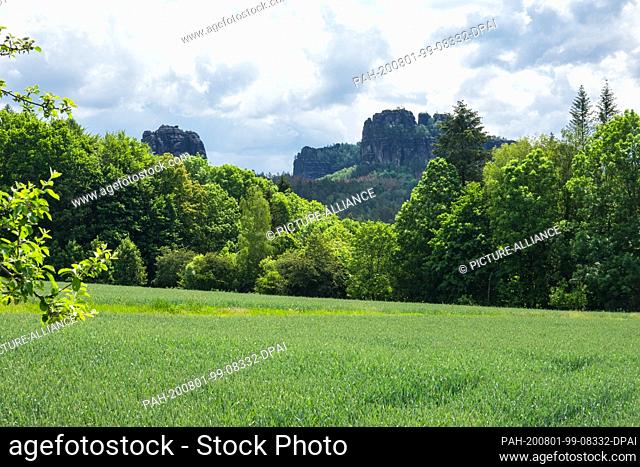 08 June 2020, Saxony, Bad Schandau: The rocks of the Schrammsteine with the Falkenstein (l) belong to a rock group near the Elbe and are a popular destination...