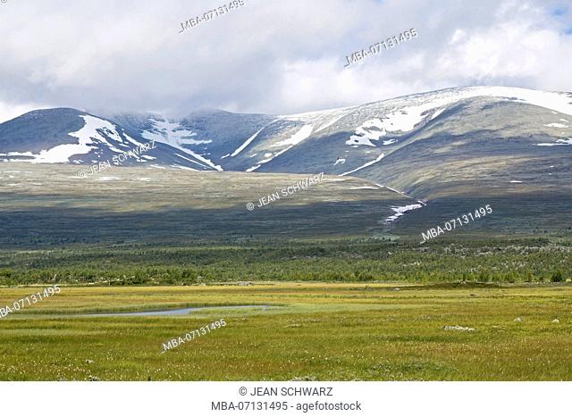 View over the flat plain up to the mountains Pårte in Sarek National Park, Sweden